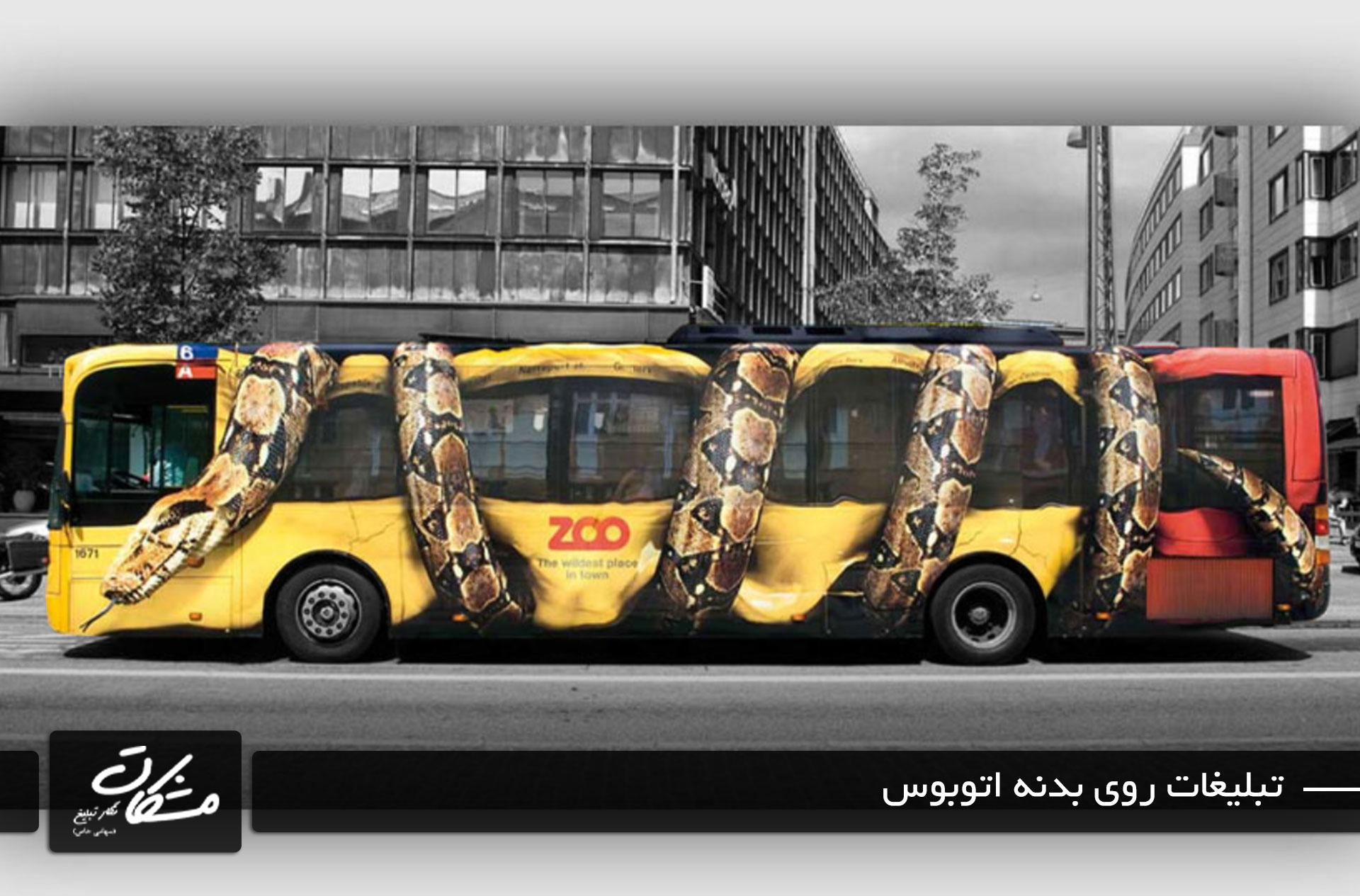 bus advertising تبلیغات روی بدنه اتوبوس